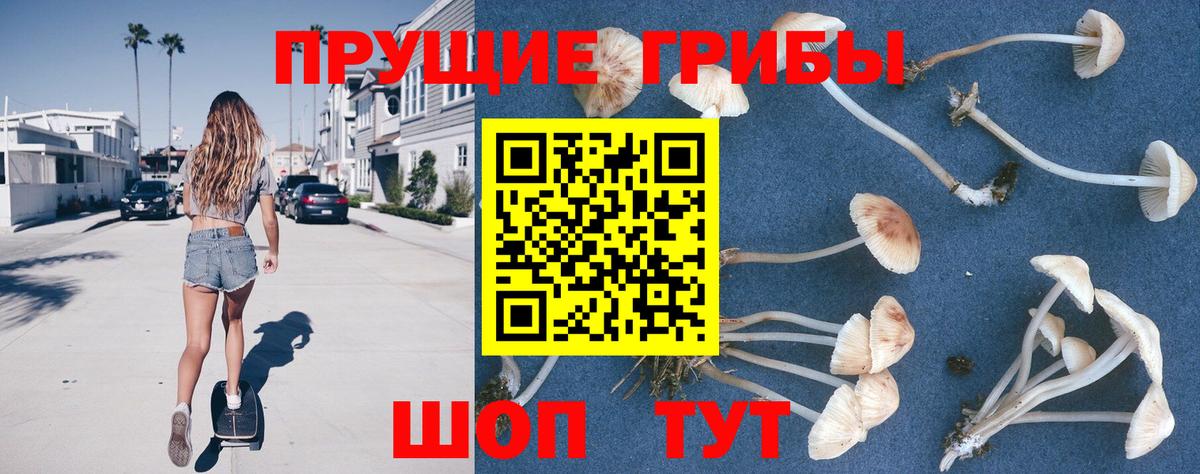 Медногорск  что такое наркотик  Вход с VPN  Галлюциногенные грибы мухоморы 