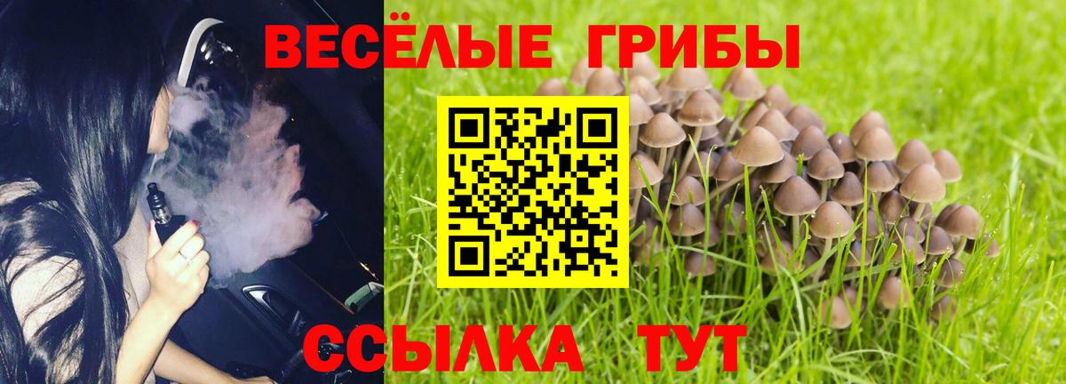 Лсд 25  НБОМе  Медногорск  Вход с VPN  МДМА  Канабис  ГАШИШ  COCAIN  Кокаин  Меф МЯУ МЯУ  